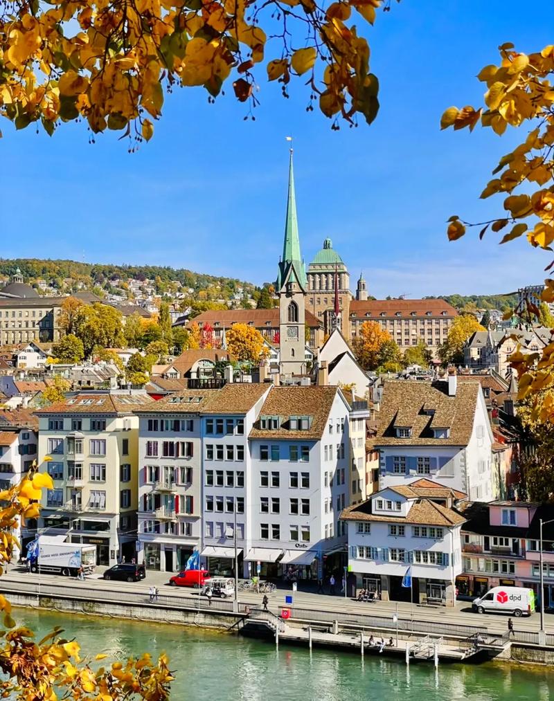 南佛罗里达大学